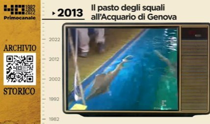 Dall'archivio storico di Primocanale, 2013: il pasto degli squali all'Acquario